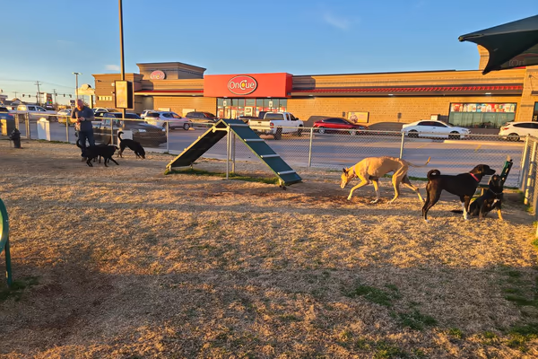 OnCue Dog Park photo 2